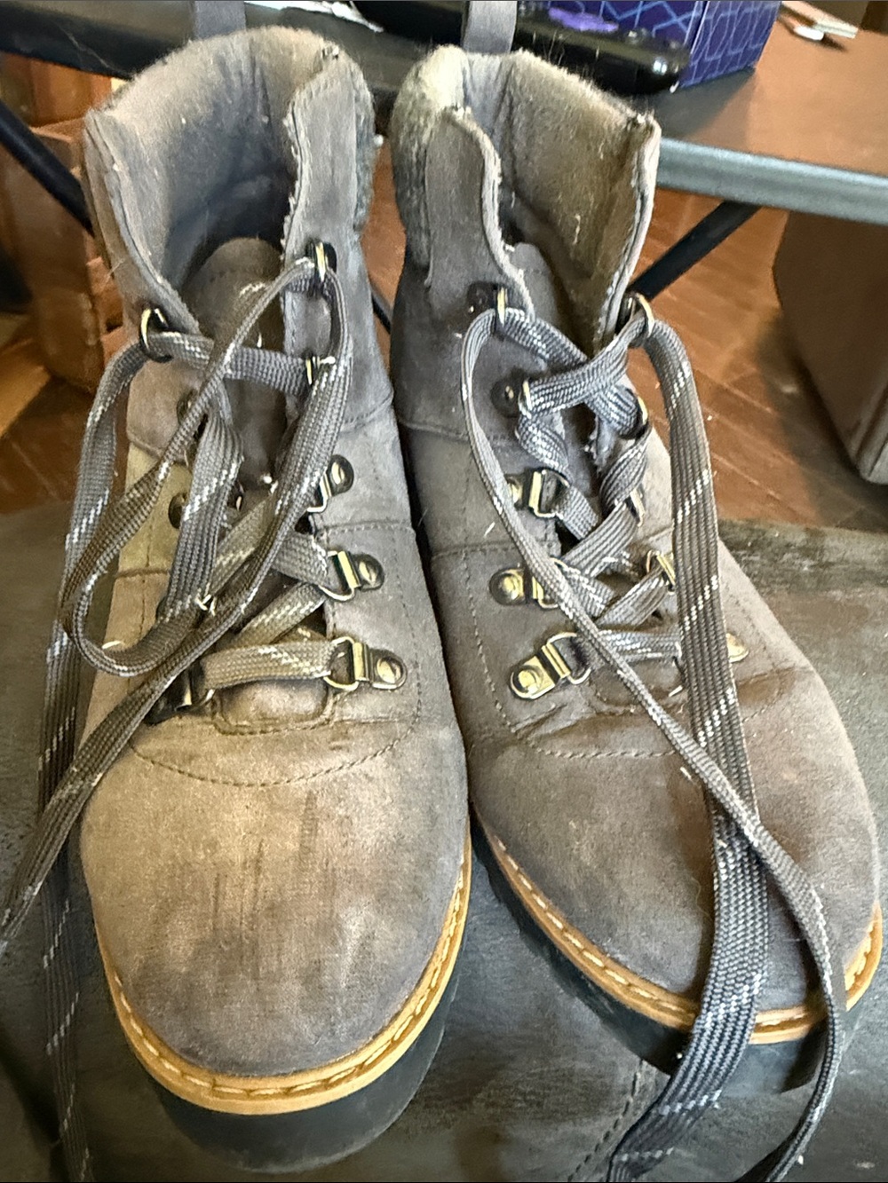 Sonoma Gray Suede Lace-Up Ankle Boots